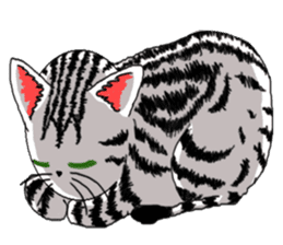 American Shorthair Cats-2 sticker #579072