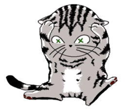 American Shorthair Cats-2 sticker #579073