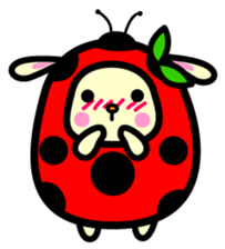 Pukki of ladybug rabbit sticker #579613