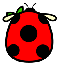 Pukki of ladybug rabbit sticker #579622