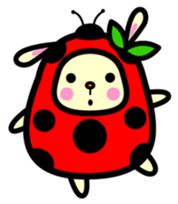 Pukki of ladybug rabbit sticker #579629