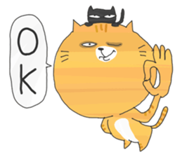 Every day of a cat sticker #580653