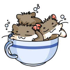 Hamster's assortment