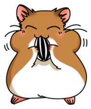 Hamster's assortment sticker #582196