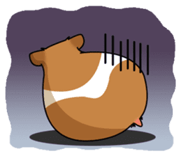 Hamster's assortment sticker #582198