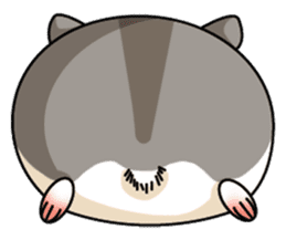 Hamster's assortment sticker #582233