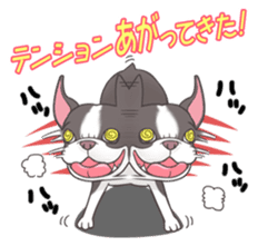 snub nosed dogs love!part2 sticker #582994