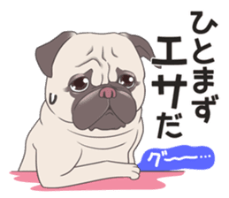 snub nosed dogs love!part2 sticker #582998