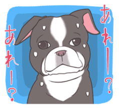 snub nosed dogs love!part2 sticker #583002