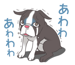 snub nosed dogs love!part2 sticker #583003