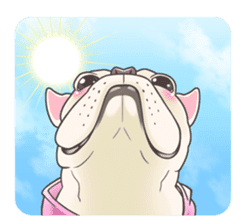 snub nosed dogs love!part2 sticker #583010