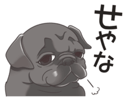 snub nosed dogs love!part2 sticker #583017