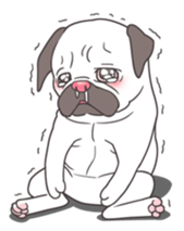 snub nosed dogs love!part2 sticker #583024