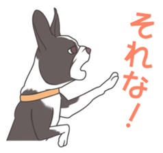 snub nosed dogs love!part2 sticker #583026