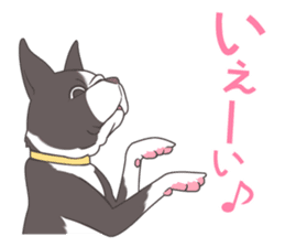 snub nosed dogs love!part2 sticker #583027