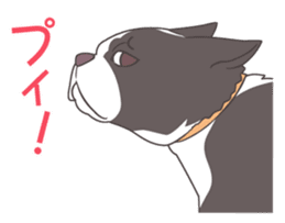 snub nosed dogs love!part2 sticker #583030