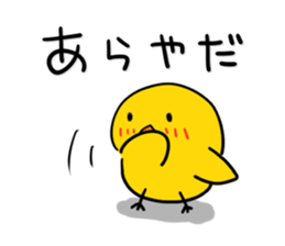 Chick's Everyday conversation 2 sticker #583040