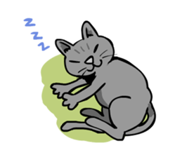 Russian Blue SHIRO sticker #586395
