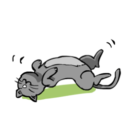 Russian Blue SHIRO sticker #586406