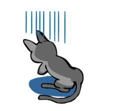 Russian Blue SHIRO sticker #586432