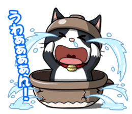 Earthenware Cat Pot"DONYABEE" sticker #587688