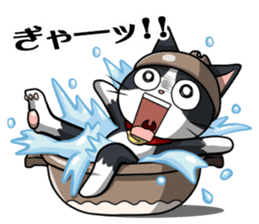 Earthenware Cat Pot"DONYABEE" sticker #587689