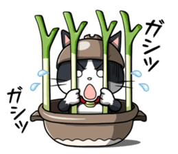 Earthenware Cat Pot"DONYABEE" sticker #587698