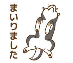 Shiba Inu black sticker #588203