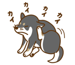 Shiba Inu black sticker #588210