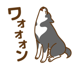 Shiba Inu black sticker #588224