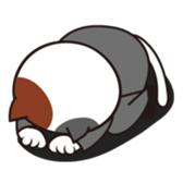 Cat office workers sticker #589016