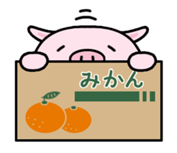Peach Pig sticker #590328