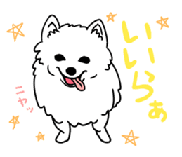 Mikawa dialect sticker #592850