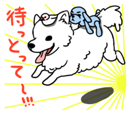 Mikawa dialect sticker #592857
