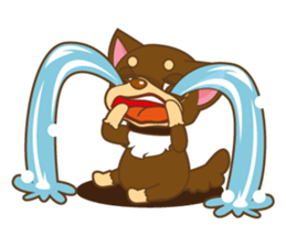 you go Chihuahua!!!! sticker #592931