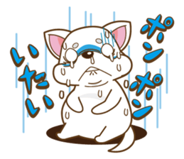 you go Chihuahua!!!! sticker #592943