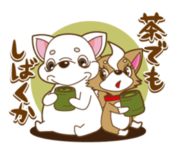 you go Chihuahua!!!! sticker #592952