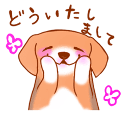 Momo Beagle sticker #593355