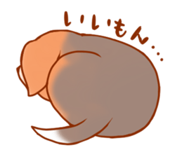 Momo Beagle sticker #593365