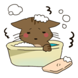 the cat and owner sticker #596032