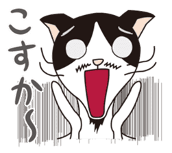 President of cat contractor from Kyushu. sticker #596212