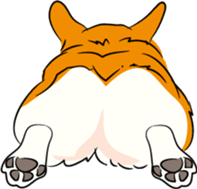 Welsh Corgi sticker #600749