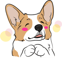 Welsh Corgi sticker #600758