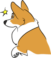 Welsh Corgi sticker #600761