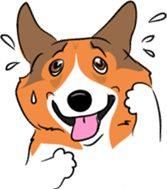 Welsh Corgi sticker #600762