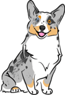 Welsh Corgi sticker #600763