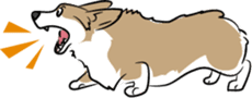 Welsh Corgi sticker #600768