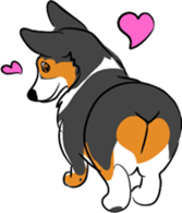 Welsh Corgi sticker #600772