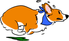 Welsh Corgi sticker #600775