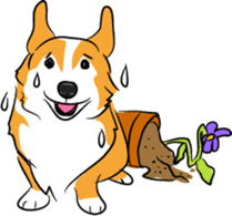 Welsh Corgi sticker #600777